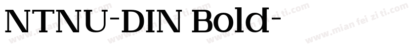 NTNU-DIN Bold字体转换